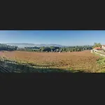 Solar De Serrade Летний дом