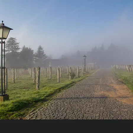Solar De Serrade * Monção