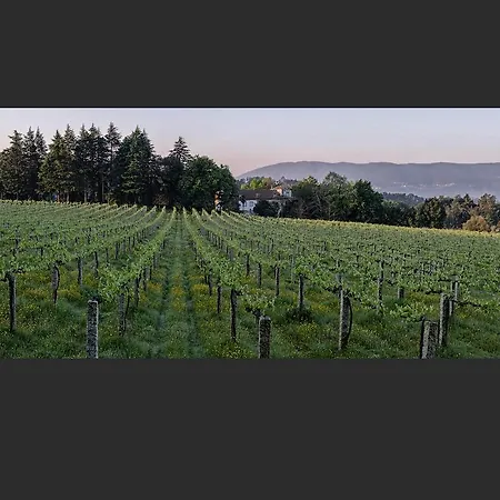 Εξοχικό σπίτι Solar De Serrade Monção