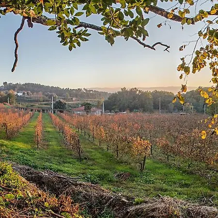Εξοχικό σπίτι Solar De Serrade *