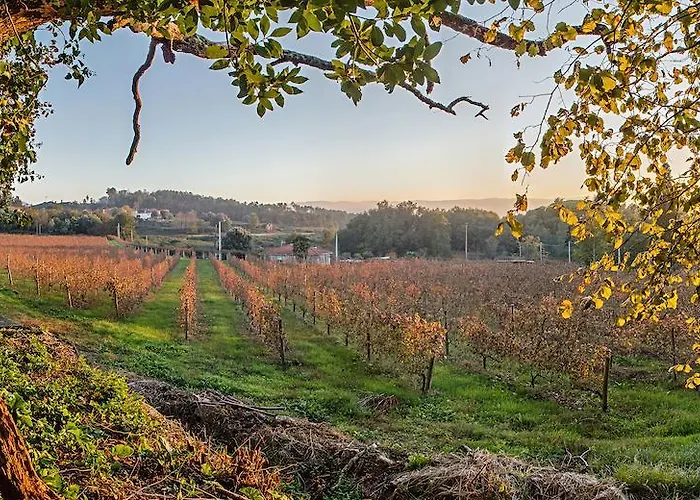 Casa de Campo Solar De Serrade *